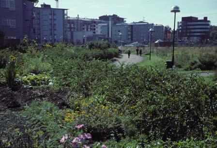 (3) Nature and Food Growing Within Urban sprawl leaves no room to express nature in the city or to grow food.