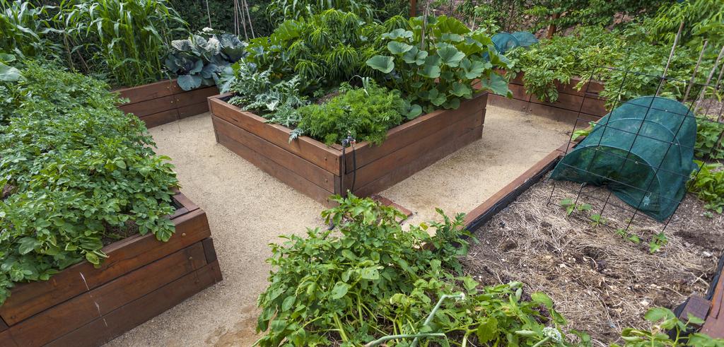 Whether you are new to garden boxes or have built a few, we ve got the essentials guide for you.