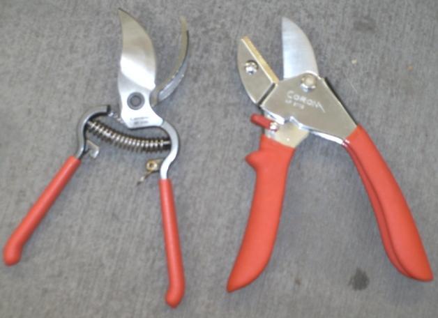 Pruning Tools Hand Pruners and Loppers Both hand pruners and Loppers are available as