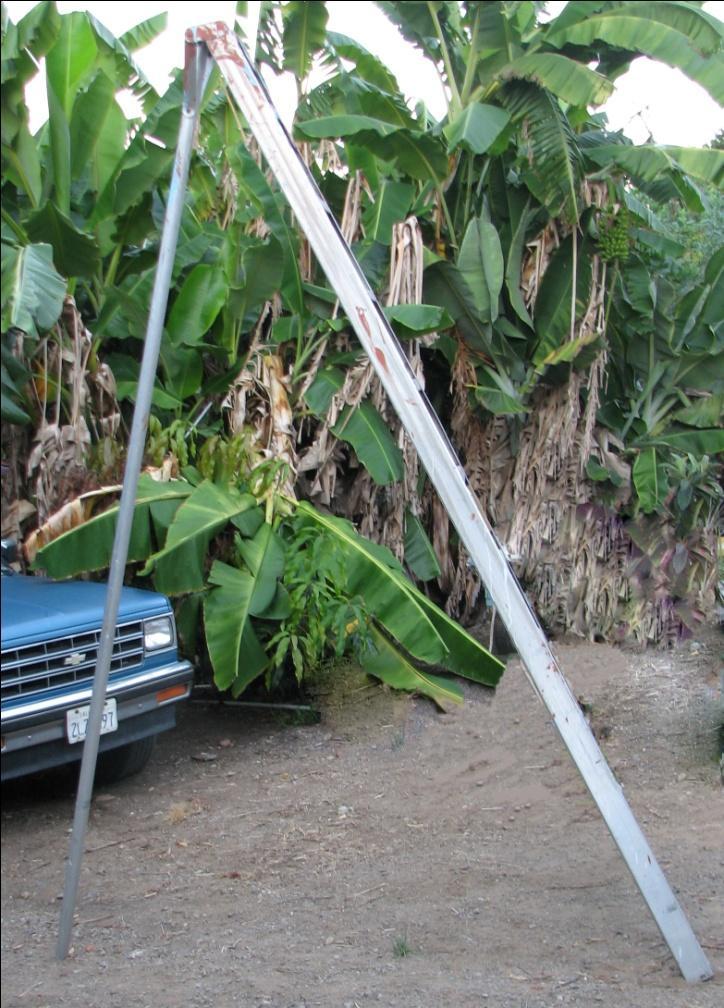 Pruning Tools Ladders Three-legged ladders or orchard ladders are much more