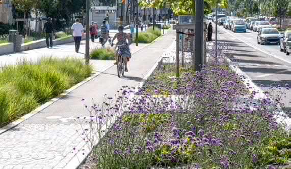 and cyclists, retaining and enhancing the existing street trees.