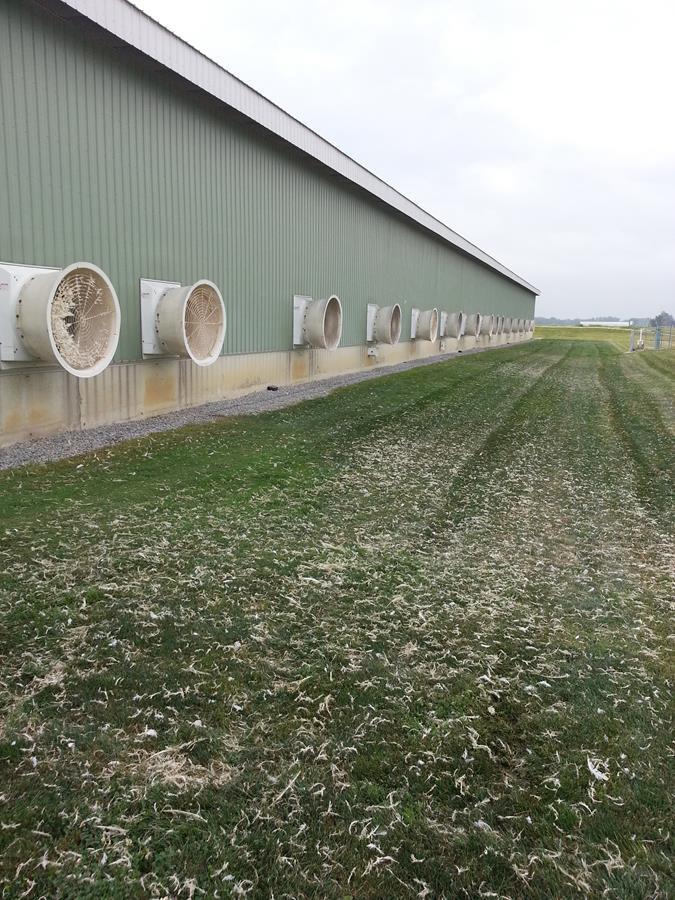 Example #10: Small fans count too Egg Manufacturing Facility Lots of chickens = lots of small fans 1,600 ventilation fans at 1-hp each Average 30% are on (2,700,000 kwh/yr) All smooth v-belts