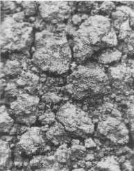 They also may have shrink-swell characteristics that affect their suitability adversely for use as building sites and for road construction. The question is sometimes asked. "What is the best soil?