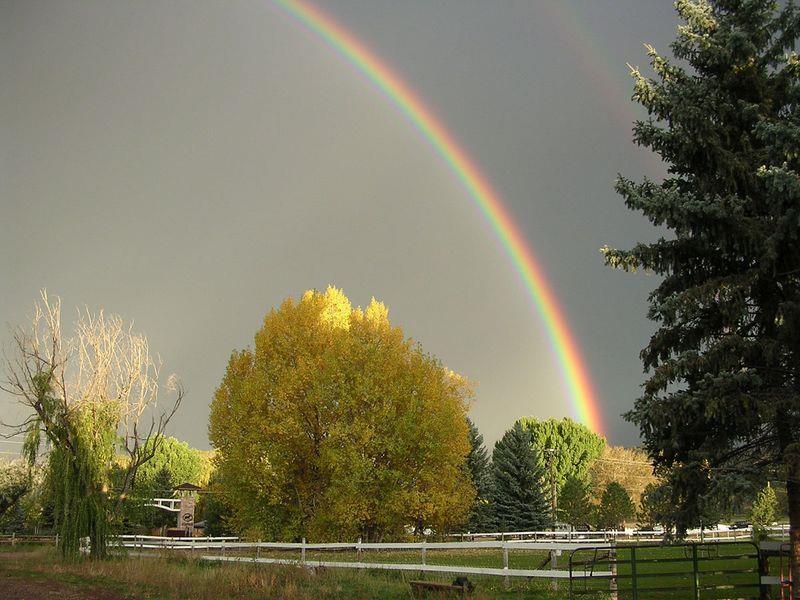 What Is a Rainbow? By Rachelle Kreisman Rainbows sometimes show up on rainy days. Have you ever seen one? Rainbows appear in the sky only if the sun is shining. Sunlight looks white.