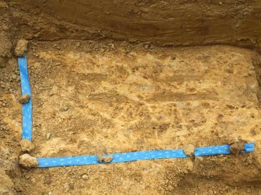 The bench in the soil pit below shows the large prisms in