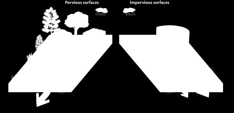 Terminology: Impervious Surface Hard surfaces (roads, sidewalks, driveways) which prevent rain or snowmelt from