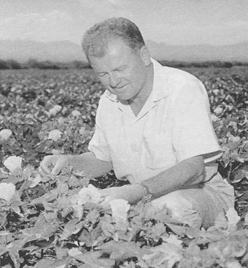 Founded by Keith Walden in 1937 Purchased Continental Farm in 1948 Walden family moved to AZ from CA in 1949 Experimented with cotton, alfalfa, lettuce, other