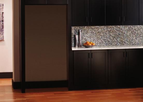 DESIGN OPTIONS FOR THOSE REPLACING OR REMODELING In most kitchens, the refrigerator is virtually impossible to hide.
