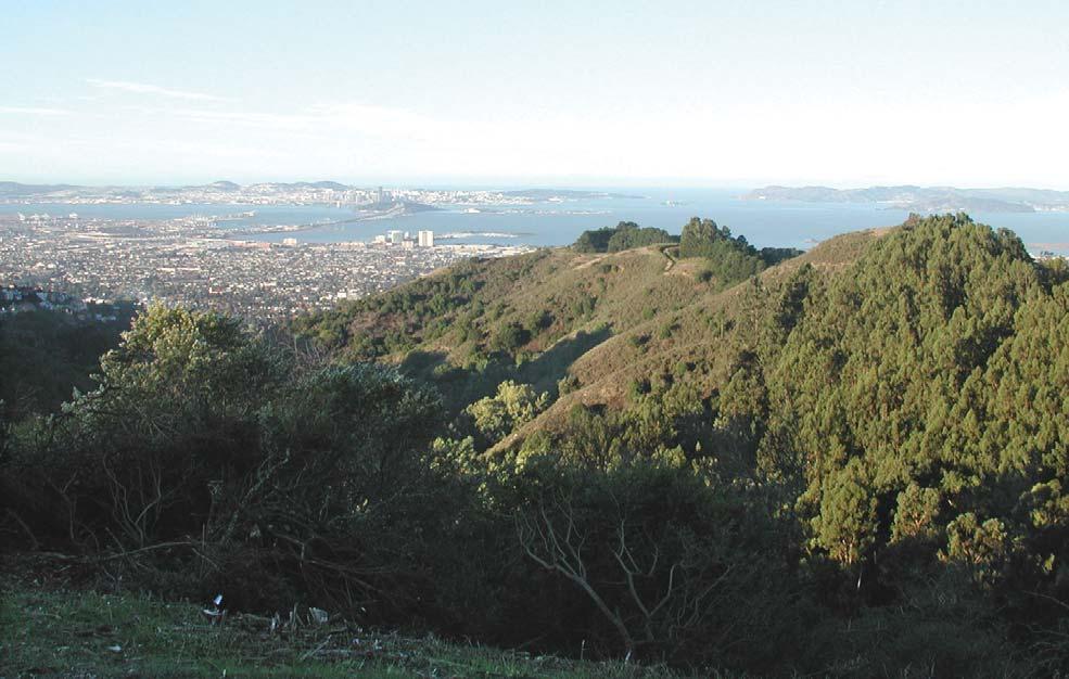 2020 LONG RANGE DEVELOPMENT PLAN U C BERKELEY Second, the mix of scrub and conifer and eucalyptus stands makes the East Bay Hills, including the Hill Campus, a regular seasonal fire risk.