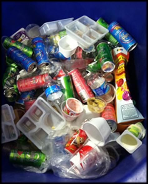 All CPS schools have recycling dumpsters and weekly services.