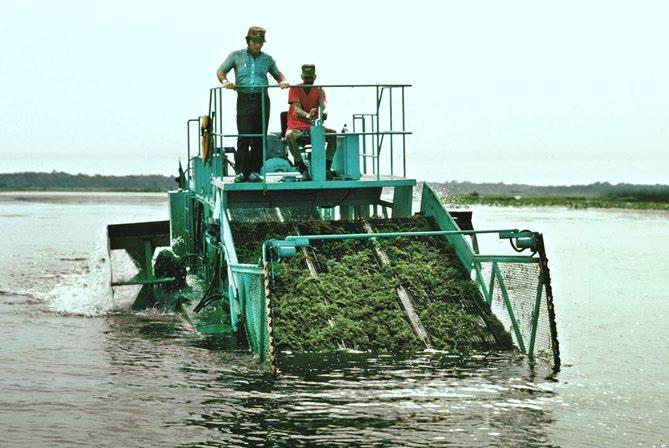 Accidental transfer of aquatic weeds can be avoided if you thoroughly inspect and clean boats, trailers, seines, nets, and other equipment before using them in your pond.
