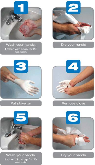Hygienic Hand Practices: Gloves When to Change Gloves As soon as they become soiled or torn Before beginning a different task At