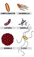 Foodborne Pathogens (con t.