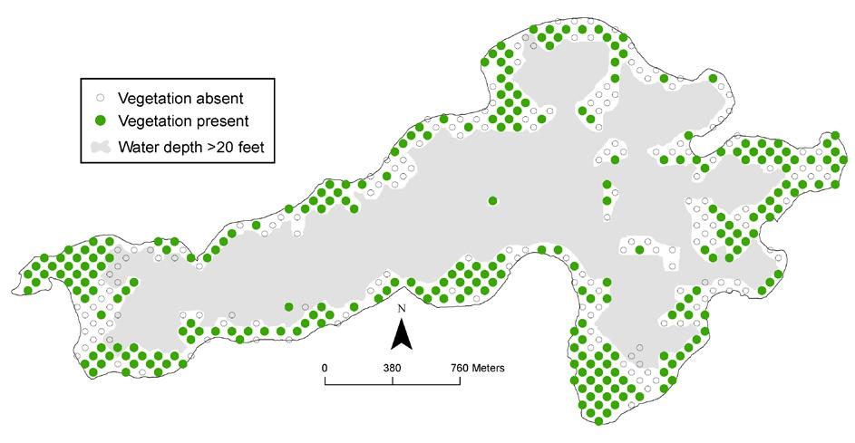 Distribution of aquatic plants Within the shore to 20 feet depth zone, vegetation occurred in 61% of the sites.