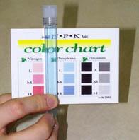 Soil Fertility: Phosphorus (P) 4. Rest the test tube in a cup or beaker. Wait 5 minutes (but no more than 10 minutes) for color to develop. 5. Compare the blue color of the solution to Phosphorus on the color chart in the Soil Test Kit.