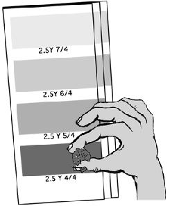 you are examining. Note: Sometimes, a soil sample may have more than one color.