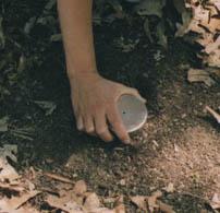 material from the soil surface. 2. At each location, push a can with a known volume into the surface of the soil.