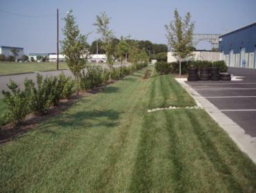 The landscape regime of a bioretention area is often determined by the amount of maintenance it will receive. Often, this is a function of the visibility of the practice.