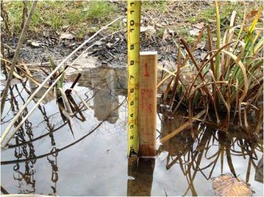 Construction Inspection Project Acceptance Routine Maintenance #11 PONDING DEPTH Description: This indicator determines whether the current ponding volume of the bioretention facility matches the