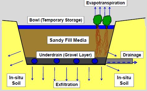 Figure 1. Bioretention Schematic (WVDEP) The way a bioretention facility works is that stormwater flows into it and temporarily ponds on the surface in the ponding area.