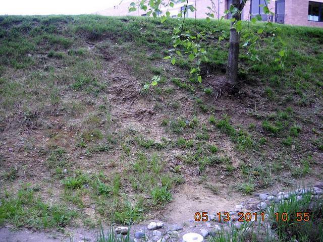 10 Side Slope Erosion Do swale side slopes show evidence