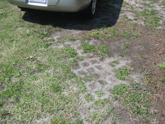 Clogging Evidence of sediment or vegetative accumulation on pavement surface or within
