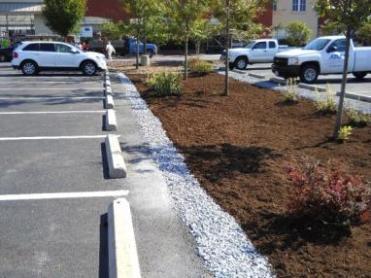 In addition, most bioretention areas are designed to have a designated outlet structure of some kind.