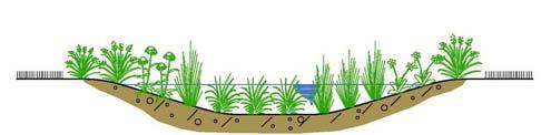 Simple Materials, Low Cost Promotes Infiltration Plant Root Penetration into