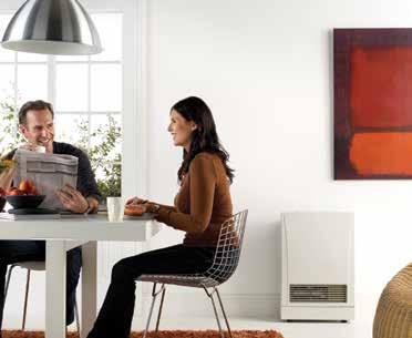 heating technology puts owners in control of their comfort, completely and efficiently.