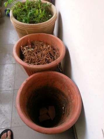Easy composting in pots.