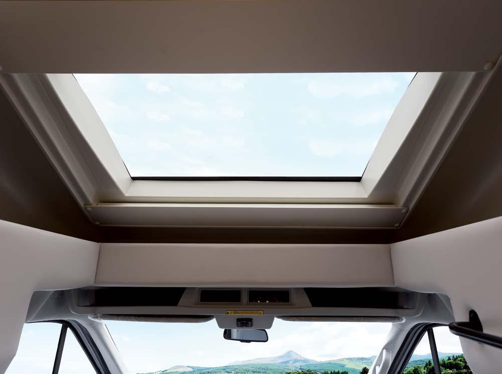 BUILT-IN SKYLIGHT WITH