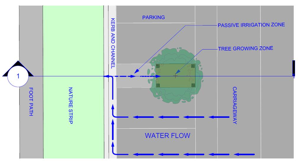 Provides irrigation water to support the new tree Intercepts stormwater runoff and meets best practice