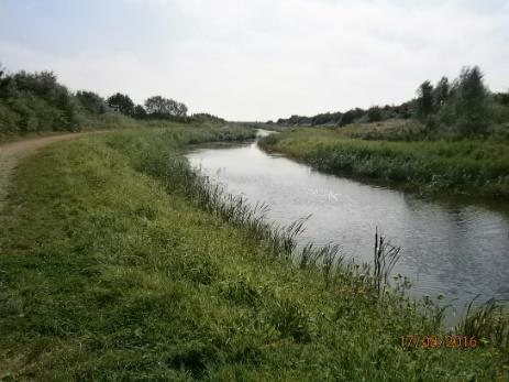 The extra wide channel has limited submerged vegetation, any present are confined to the margins.