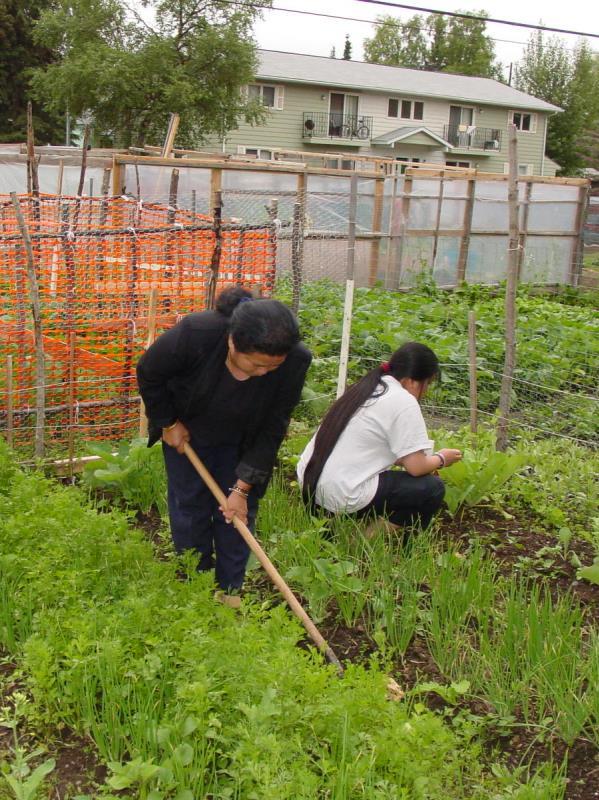 What We Learned: Key Informant Interviews Hmong and Refugee Communities Current supply of garden plots does not meet