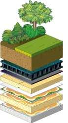 of Green Roofing
