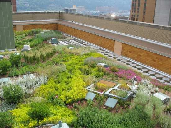 Building Green Roof Monitoring Program