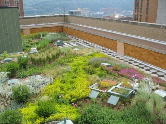 Green Roofs: Reduce stormwater volume and intensity, prevent water pollution (CSOs) Keep buildings and neighborhoods cooler Save money Summary 76 Questions?