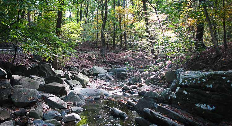 Related Plans and Ordinances Environmental Ordinances All projects that will disturb over 2,500 SF of land are required to follow the Stormwater Management Ordinance (per County Code chapter 60), the