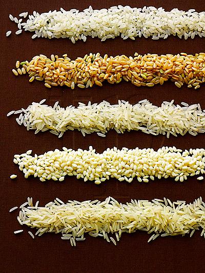 Rice is an important cultivated cereal