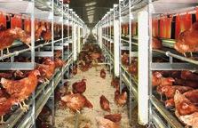 consumption can be recorded and up to 5 types of feed can be mixed by means of the