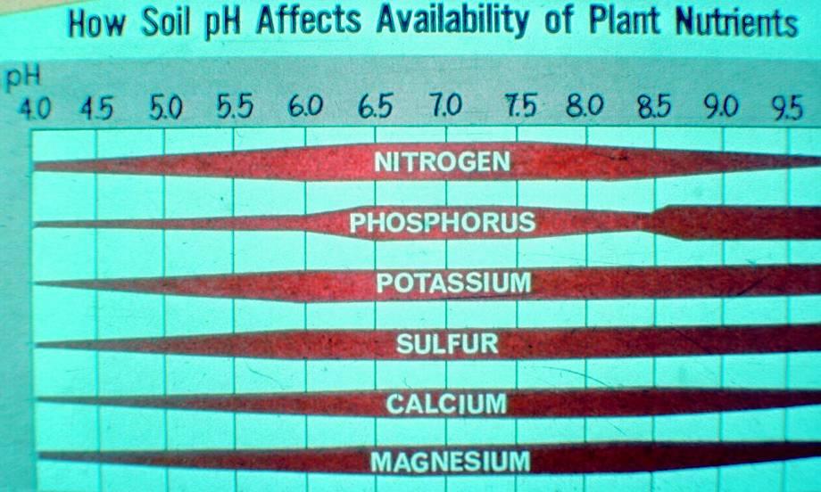 How Soil ph Affects