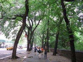 Its tree lined walks would offer a direct pedestrian link between Silver Heights Park and the new neighbourhood park.