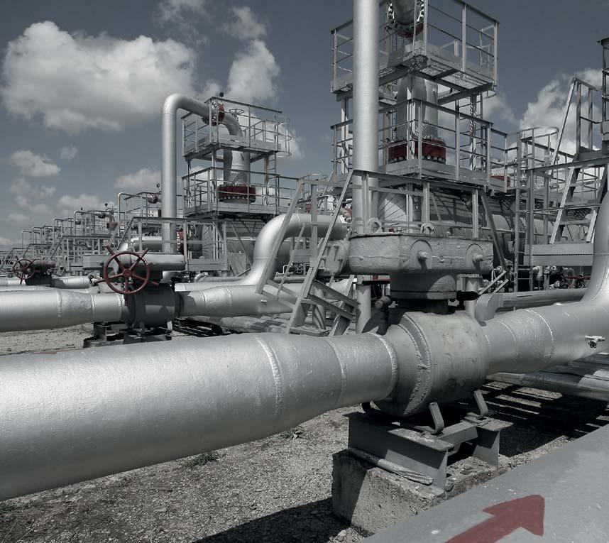 Gas pipelines Our DTS technology gives operators a reliable and cost-effective way to better manage gas pipelines in particular, natural gas, ammonia, methane, CO 2, and the entire CCS (Carbon