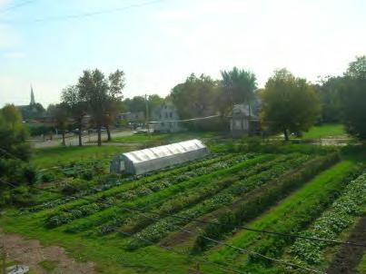 Urban Agriculture Update urban agriculture ordinance to specifically protect sewer system Include specific best