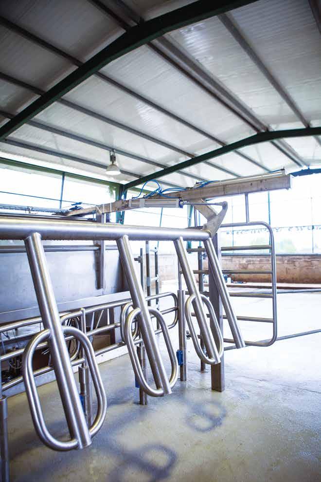 Operating characteristics Reduced entry-exit time of animals. Short distance per position for each animal for fast milking. Individual rotating door mechanism with return spring.
