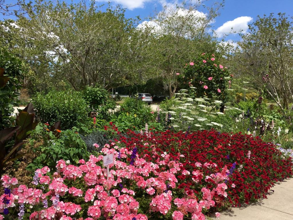 My garden is my most beautiful masterpiece Claude Monet The gardens in the Arboretum at the St. Johns County Agricultural Center were chosen as an AllAmerican Selections (AAS) Display Garden in 2015.