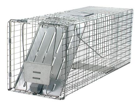 . 0 36348 Professional Cage Traps 077 Professional Squirrel