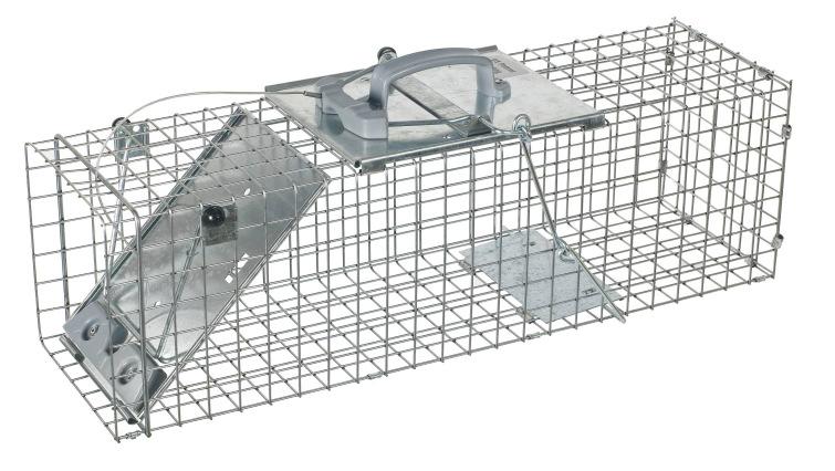 Raccoon Trap Professional Trap One spring loaded door 42x5x5