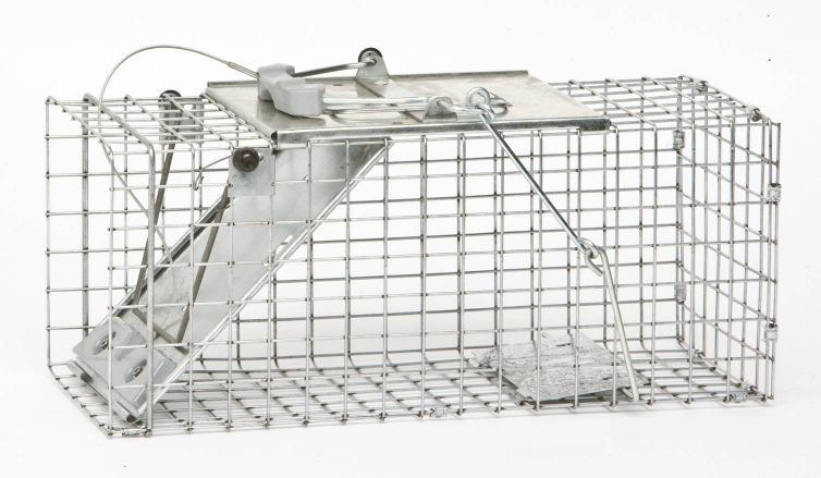 Rabbit Trap Small Collapsible Cage Trap 24x8x8.