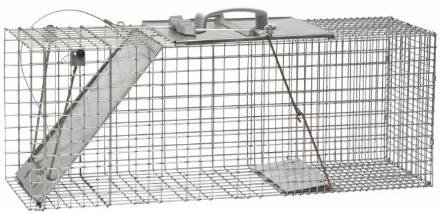 75x2.75 0089 0 Easy Set Cage Traps Just pull the handle back